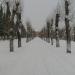 Парк в городе Лесной