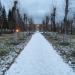 Парк в городе Лесной