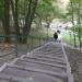 Лестница к пруду в городе Харьков