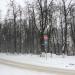 Бульвар Н. В. Гоголя в городе Владимир