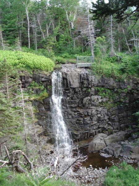 Delaps cove wilderness on sale trail