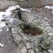 Источник с фигурой черепахи в городе Ессентуки