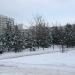 Огороженная лесопосадка в городе Москва
