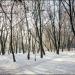 Парк им. Писаржевского (ru) in Dnipro city