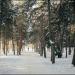 Парк им. Писаржевского (ru) in Dnipro city