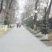 Аллея участникам ликвидации последствий аварии на Чернобыльской АЭС в городе Воронеж