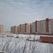 Деповская ул., 50 в городе Новоалтайск