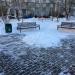 Цветник в городе Москва
