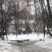 Гимназия № 7 - дошкольные группы в городе Красногорск