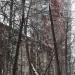 ул. Жуковского, 19 в городе Красногорск