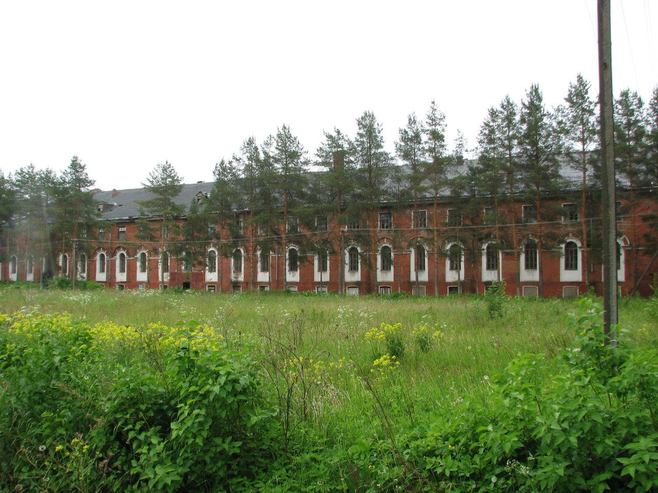 World / Russia / Novgorod / Shimsk , 25 км от центра (Шимск)