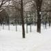 Спортивная площадка для командных видов спорта в городе Москва