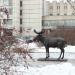 Скульптура лося в городе Москва