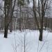 микрорайон Сосновый Бор, 7 в городе Королёв