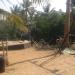 Ash in Arambol city