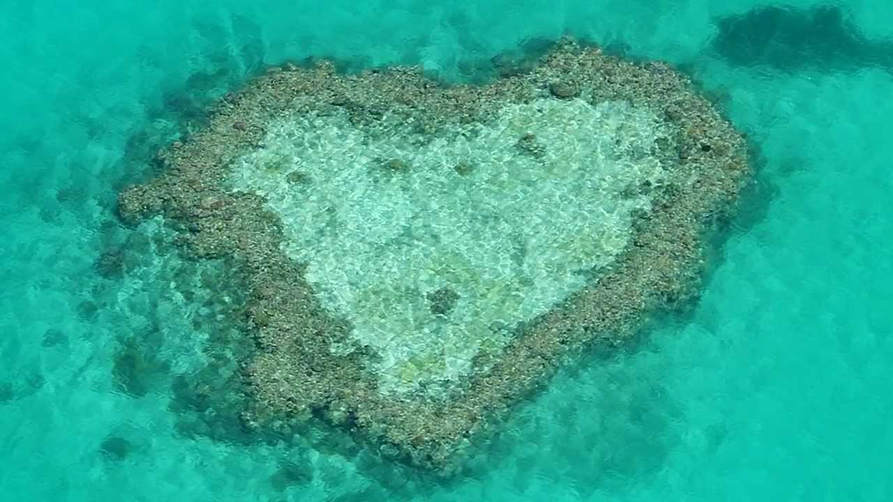 Heart Reef