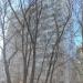 пр. Серебрякова, 1/2 в городе Москва