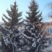 Смольная ул., 50а в городе Барнаул