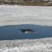 Водоворот в городе Москва