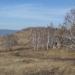 Скалки в городе Красноярск