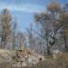 Скалки в городе Красноярск