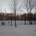 Спортивная площадка школы № 1003 в городе Москва
