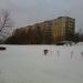 Роща в городе Москва