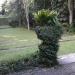 Jardins do Restaurante Os Esquílos. na Rio de Janeiro city