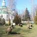 Свято-Никольский кафедральный собор в городе Армавир