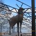 Памятник оленю на Оленьей горке в городе Лисичанск