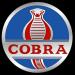 COBRA Softwares Private Limited in Coimbatore city