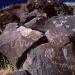 Petroglyph National Monument