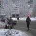 Пешеходный переход в городе Нижний Новгород