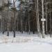Тропа здоровья «Краснолесье» в городе Екатеринбург