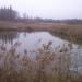 Осушенный водоем в городе Мирноград