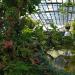 Оранжереи Ботанического сада Иркутского государственного университета в городе Иркутск