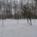 Ледовый каток «Усадебный» в городе Москва