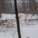 Место для купания в проруби в городе Москва