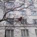 ул. 50 лет Октября, 2 корпус 1 в городе Москва