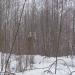 Руины в городе Череповец