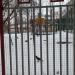 Спортплощадка при школе в городе Москва