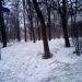Cквер в городе Москва
