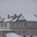 Семенковская ул., 1е в городе Череповец