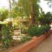 Ogrody Hotelu Salam (pl) in Taroudant city