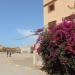 Football field in Taroudant city