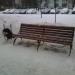 Скамья в городе Москва