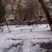 Місце для відпочинку в місті Київ