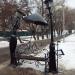 Скамейка влюблённых в городе Энгельс
