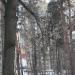 Лесная ул., 15 в городе Красногорск