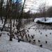 Место впадения ручьёв в реку Химку в городе Москва